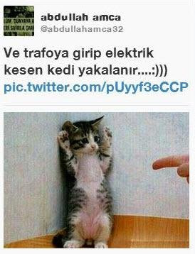 Twitter 'Trafoya kaçan kedi' geyikleriyle yıkıldı! - Sayfa 22