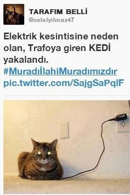 Twitter 'Trafoya kaçan kedi' geyikleriyle yıkıldı! - Sayfa 25