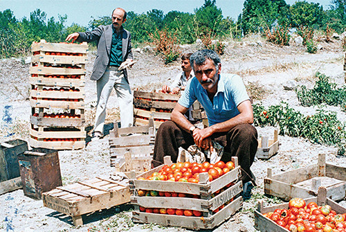 Yılmaz Güney'in İmralı günleri! - Sayfa 2