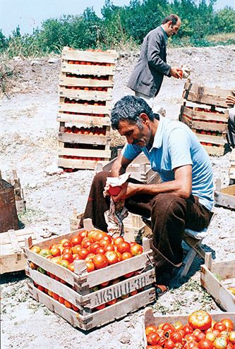 Yılmaz Güney'in İmralı günleri! - Sayfa 3