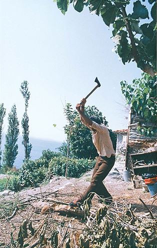 Yılmaz Güney'in İmralı günleri! - Sayfa 16