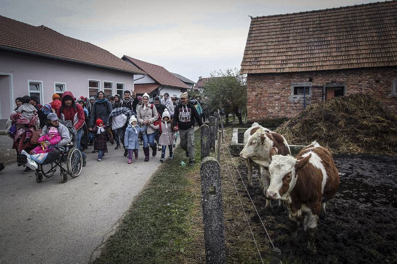 Anadolu Ajansı'nın gözüyle 2015 - Sayfa 14