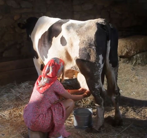 Ivana Sert'in inek sağma sahnesi çok konuşulacak - Sayfa 7