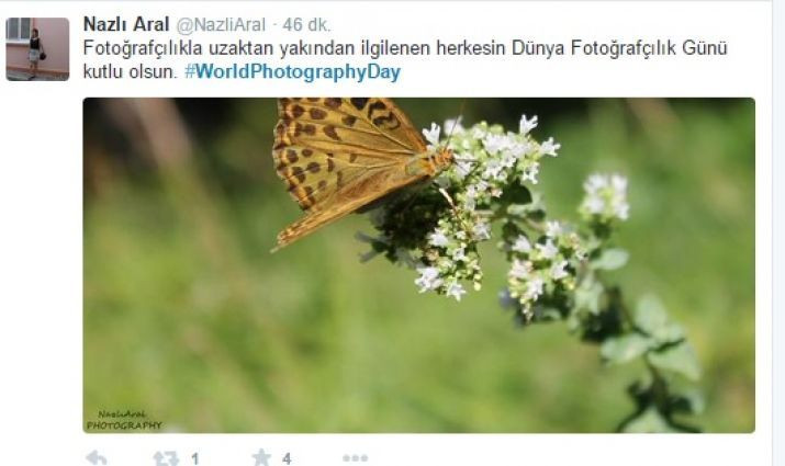 Twitter, Dünya Fotoğrafçılık Günü'nü 'o an'larla kutluyor - Sayfa 7