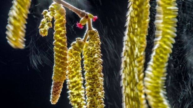 BBC seçti; işte yılın en iyi fotoğrafları - Sayfa 5