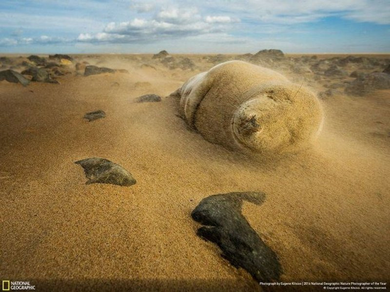 National Geographic'in 2016 en iyi doğa fotoğrafları - Sayfa 4