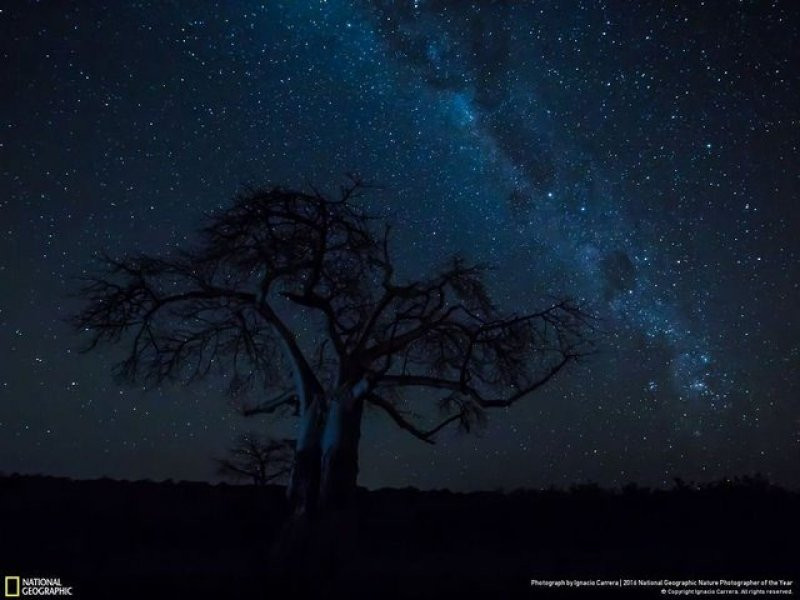 National Geographic'in 2016 en iyi doğa fotoğrafları - Sayfa 21