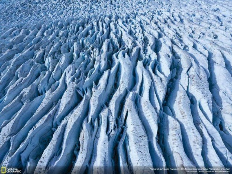 National Geographic'in 2016 en iyi doğa fotoğrafları - Sayfa 25