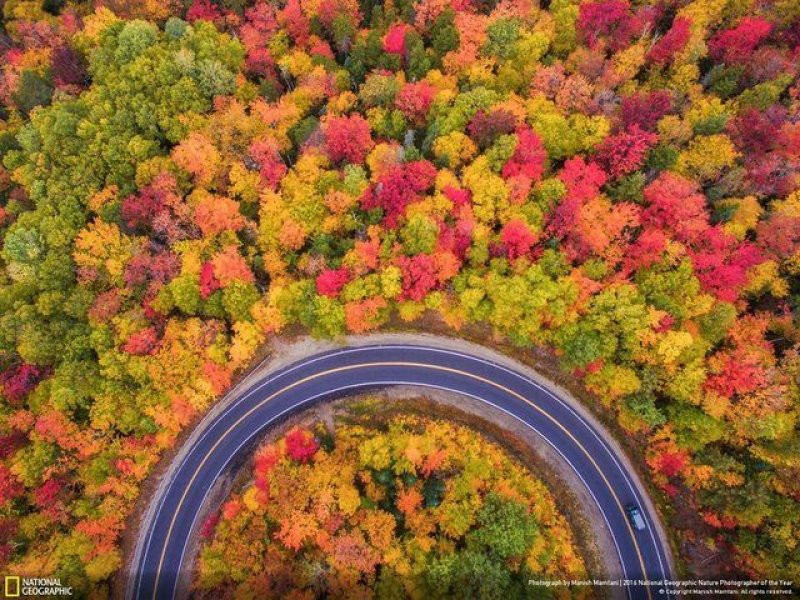 National Geographic'in 2016 en iyi doğa fotoğrafları - Sayfa 27