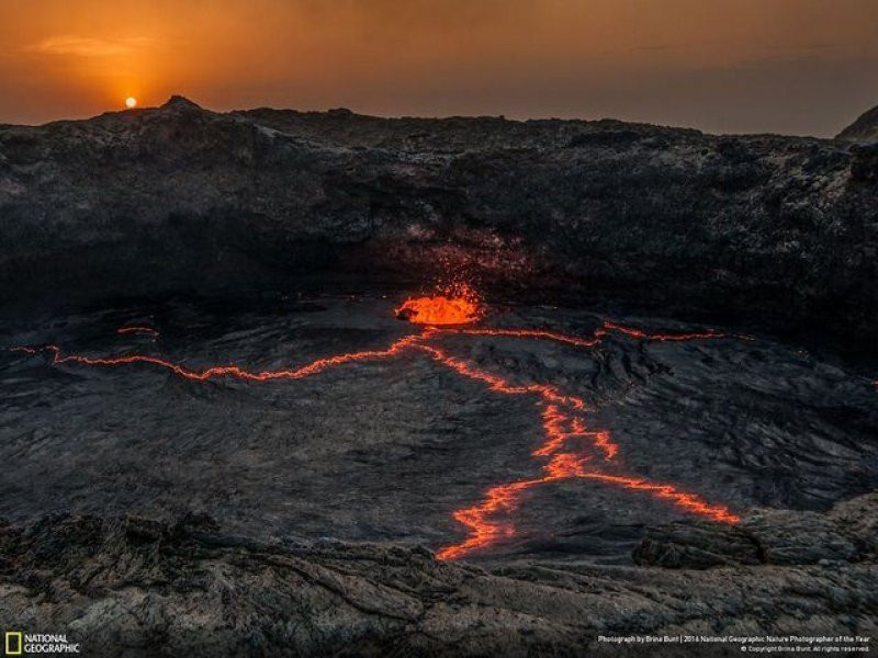 National Geographic'in 2016 en iyi doğa fotoğrafları - Sayfa 32