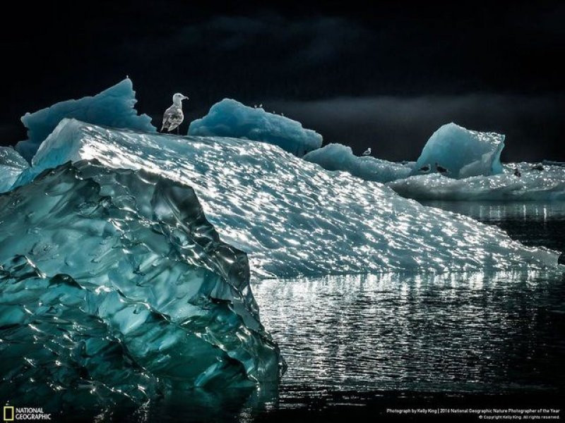 National Geographic'in 2016 en iyi doğa fotoğrafları - Sayfa 42