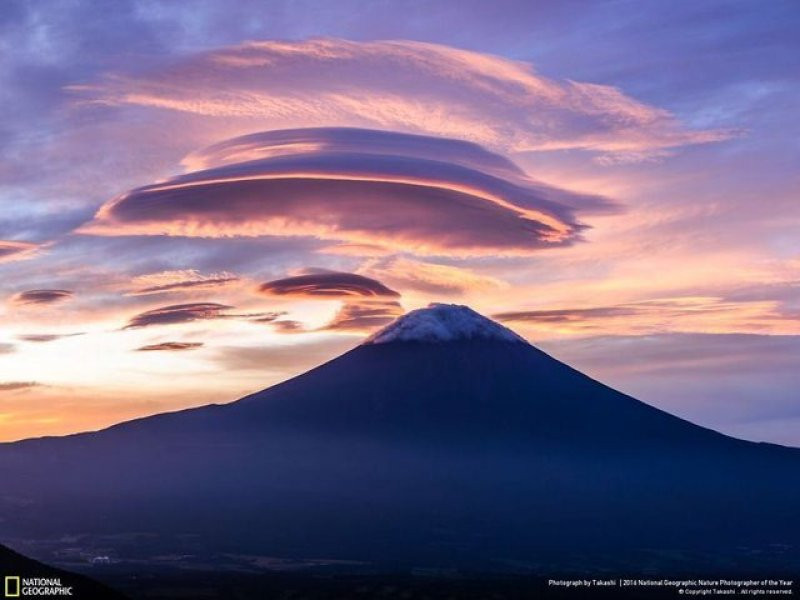 National Geographic'in 2016 en iyi doğa fotoğrafları - Sayfa 48