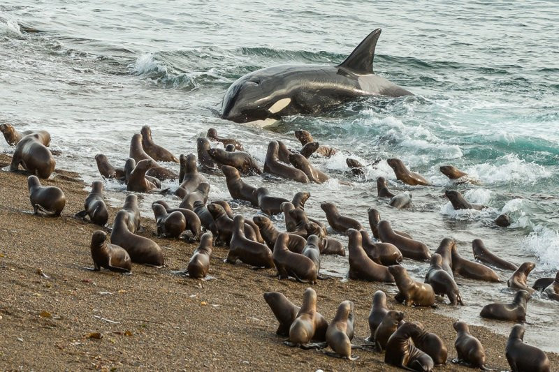 National Geographic'den muhteşem fotoğraflar - Sayfa 5