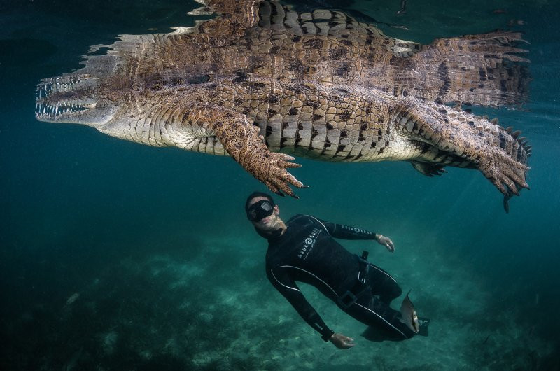 National Geographic'den muhteşem fotoğraflar - Sayfa 13