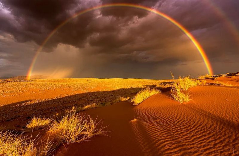 National Geographic'den muhteşem fotoğraflar - Sayfa 22