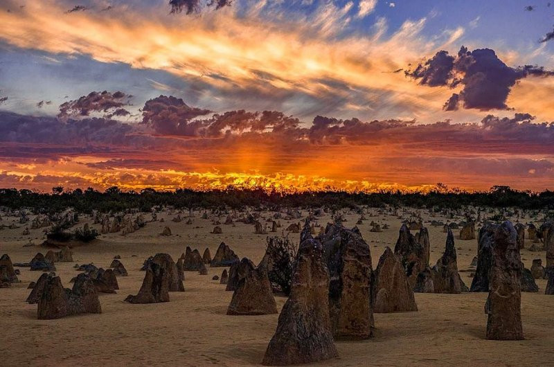 National Geographic'den muhteşem fotoğraflar - Sayfa 31