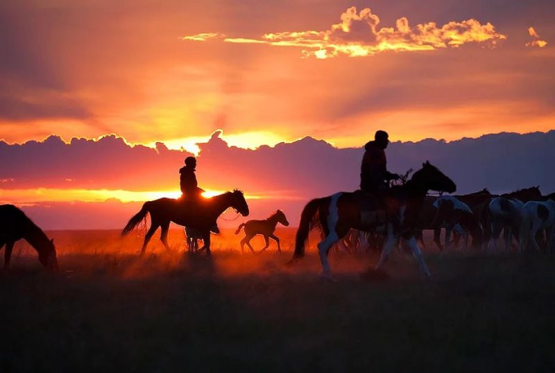 National Geographic'den muhteşem fotoğraflar - Sayfa 35