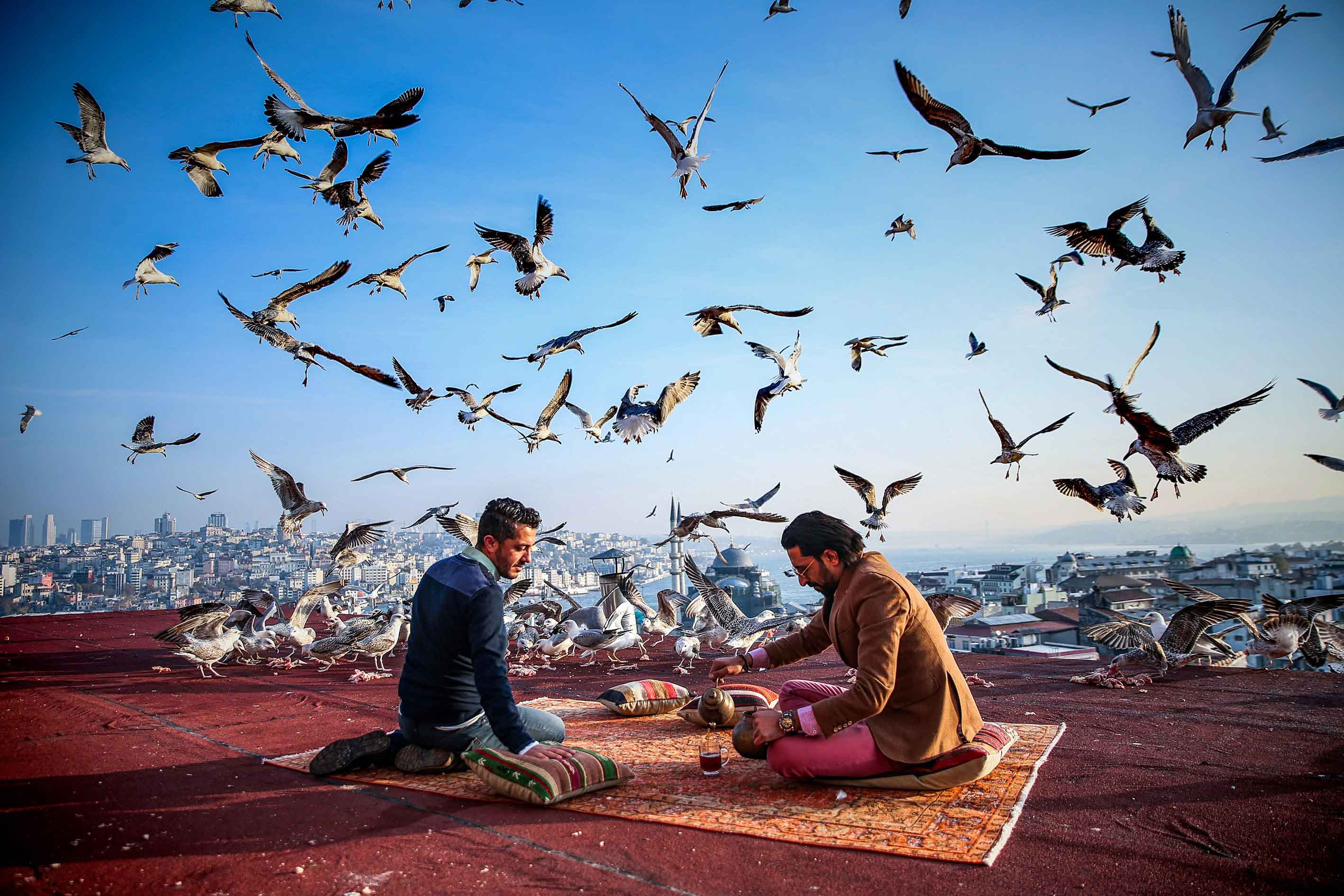 'TFMD Yılın Basın Fotoğrafları 2018'in kazananları açıklandı - Sayfa 3