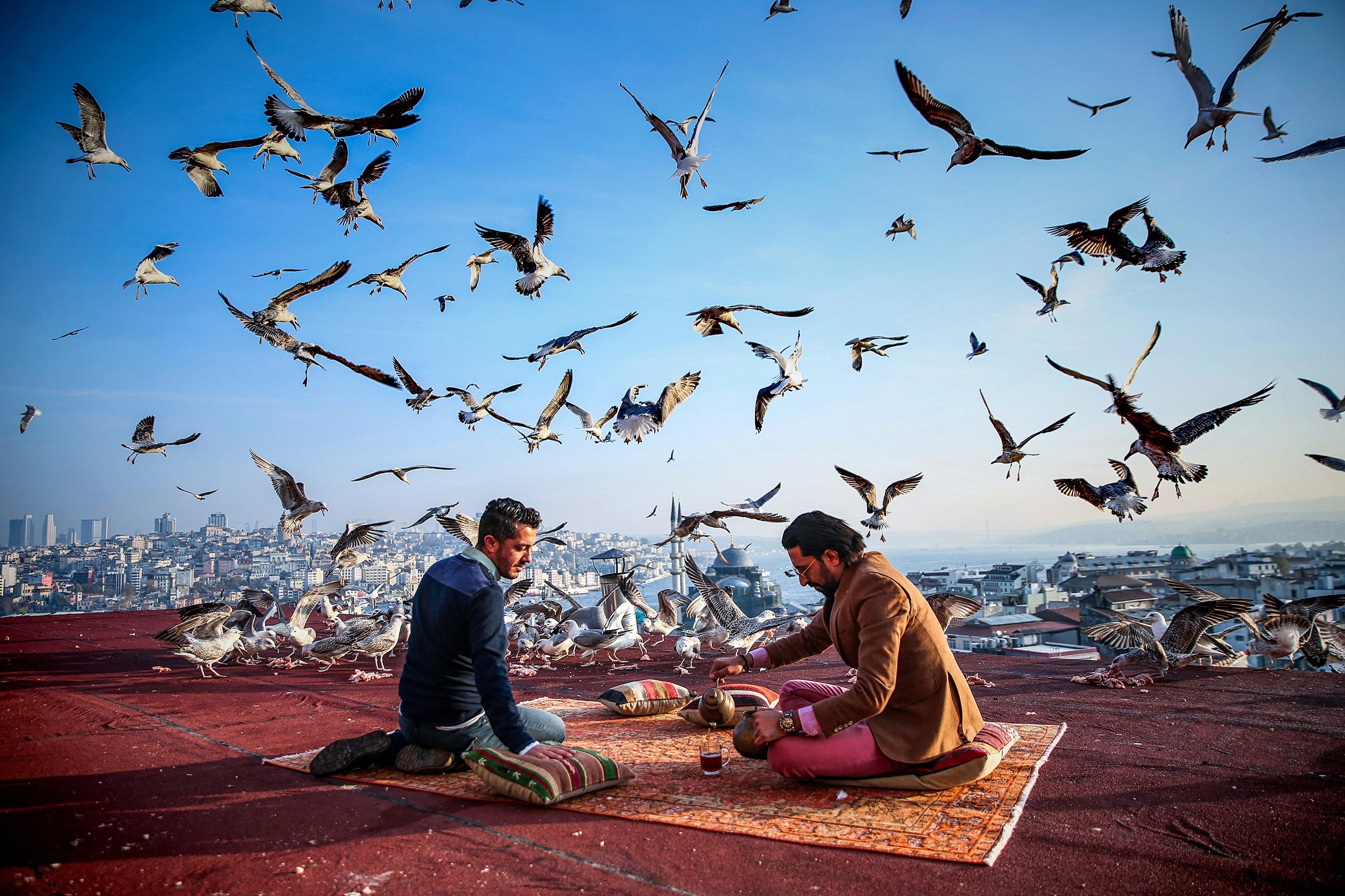 'TFMD Yılın Basın Fotoğrafları 2018'in kazananları açıklandı - Sayfa 15