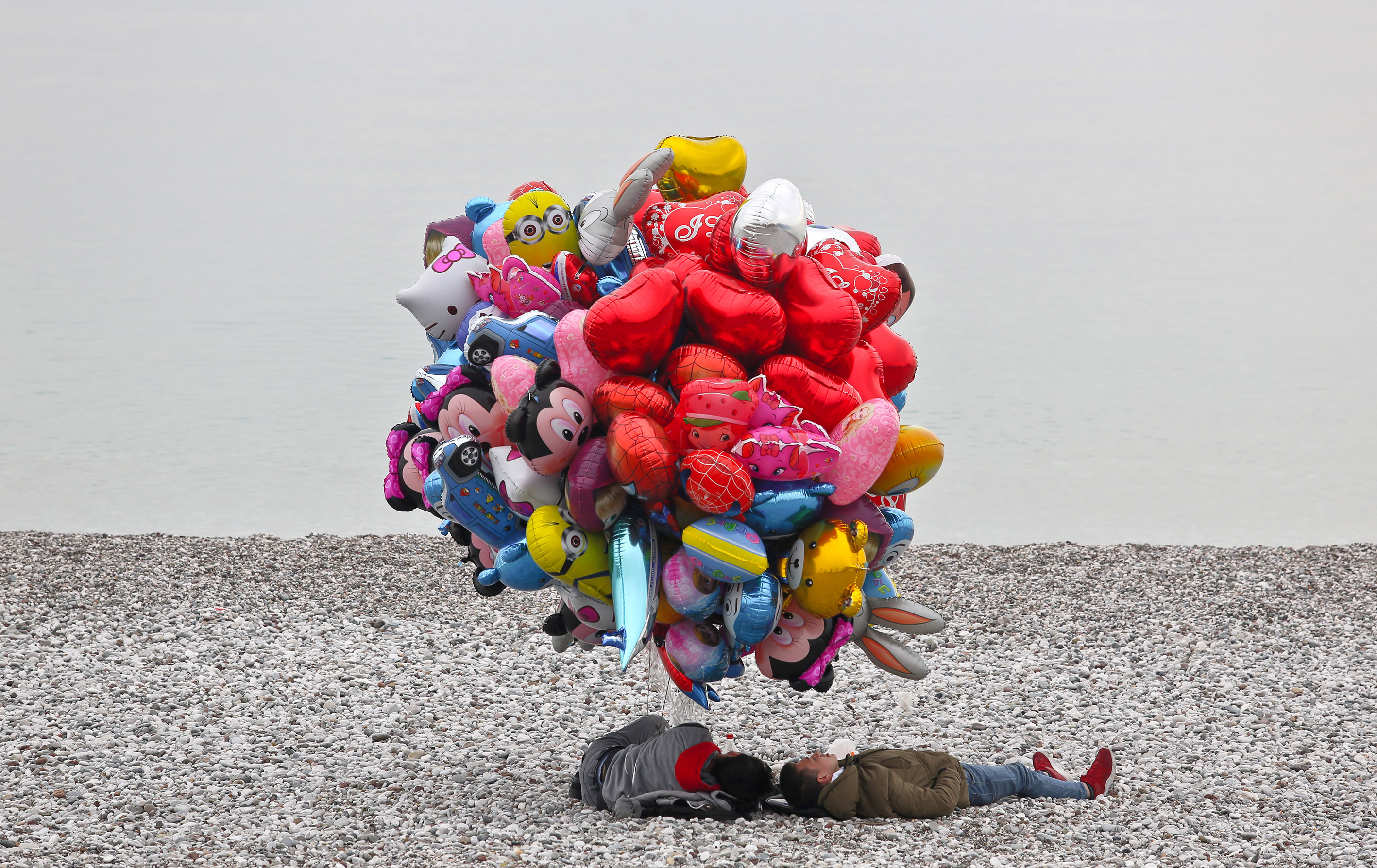 'TFMD Yılın Basın Fotoğrafları 2018'in kazananları açıklandı - Sayfa 16