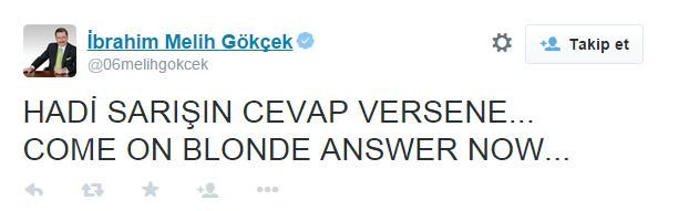 "Hadi sarışın cevap ver" demişti! Melih Gökçek'in tweet'ine ABD'den sert yanıt! - Resim : 1